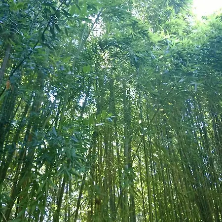 公寓式酒店 Montecorneo 蓬特圣乔凡尼